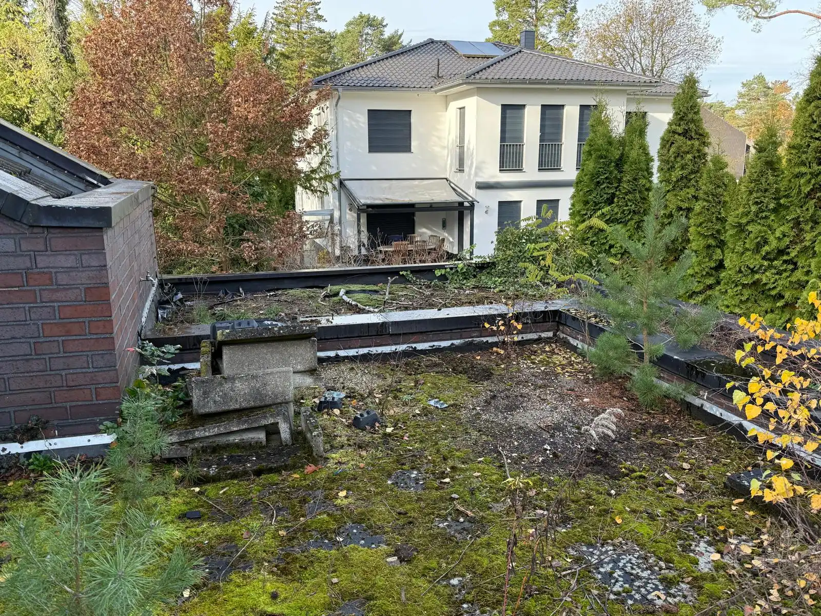 Räumungsarbeiten von Patrick Ott